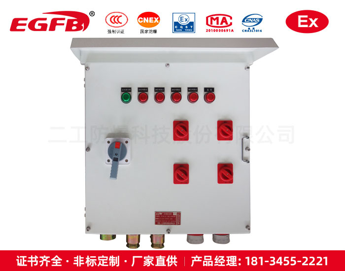 危險(xiǎn)場所雙層門粉塵氣體防爆箱